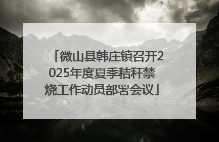 微山县韩庄镇召开2025年度夏季秸秆禁烧工作动员部署会议