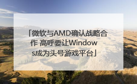 微软与AMD确认战略合作 高呼要让Windows成为头号游戏平台