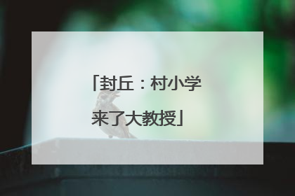封丘：村小学来了大教授