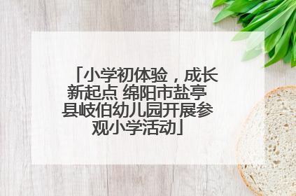 小学初体验，成长新起点 绵阳市盐亭县岐伯幼儿园开展参观小学活动