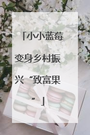 小小蓝莓变身乡村振兴“致富果”