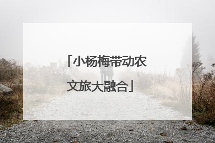 小杨梅带动农文旅大融合