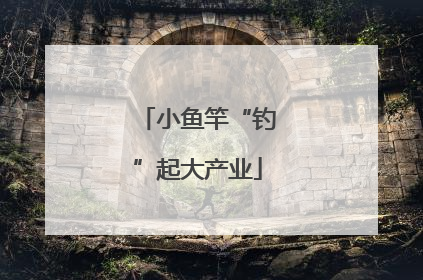 小鱼竿“钓”起大产业