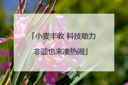 小麦丰收 科技助力 非遗也来凑热闹