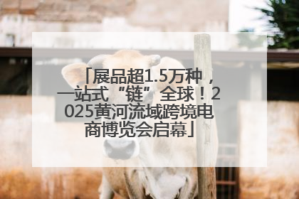 展品超1.5万种，一站式“链”全球！2025黄河流域跨境电商博览会启幕