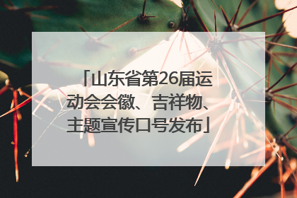 山东省第26届运动会会徽、吉祥物、主题宣传口号发布