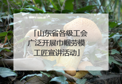 山东省各级工会广泛开展巾帼劳模工匠宣讲活动