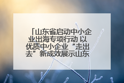 山东省启动中小企业出海专项行动 以优质中小企业“走出去”新成效展示山东产业发展新形象