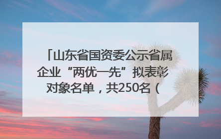 山东省国资委公示省属企业“两优一先”拟表彰对象名单，共250名（个）党员和党组织