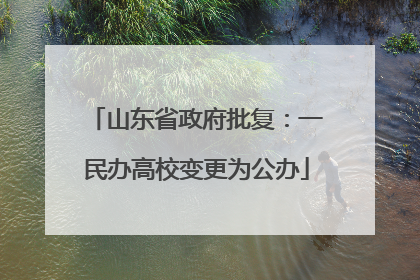 山东省政府批复：一民办高校变更为公办