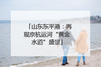 山东东平港：再现京杭运河“黄金水道”盛景