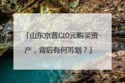 山东京普以0元购买资产，背后有何筹划？