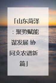 山东菏泽：聚势赋能谋发展 协同支农谱新篇