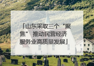 山东采取三个“聚焦” 推动民营经济服务业高质量发展
