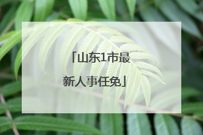 山东1市最新人事任免