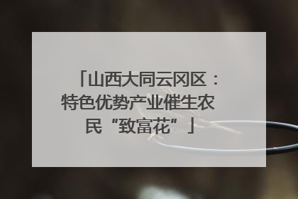 山西大同云冈区：特色优势产业催生农民“致富花”
