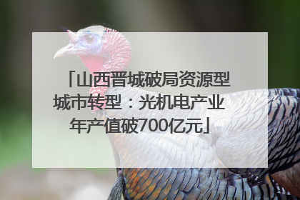 山西晋城破局资源型城市转型：光机电产业年产值破700亿元