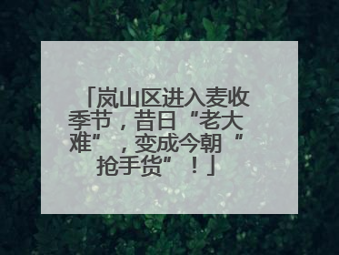岚山区进入麦收季节，昔日“老大难”，变成今朝“抢手货”！