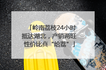 岭南荔枝24小时抵达湖北，产销两旺性价比真“给荔”