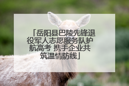 岳阳县巴陵先锋退役军人志愿服务队护航高考 携手企业共筑温情防线