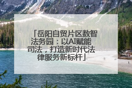 岳阳自贸片区数智法务园：以AI赋能司法，打造新时代法律服务新标杆