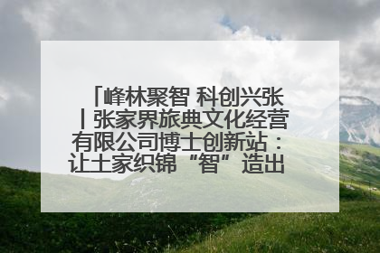 峰林聚智 科创兴张丨张家界旅典文化经营有限公司博士创新站：让土家织锦“智”造出非遗新传奇