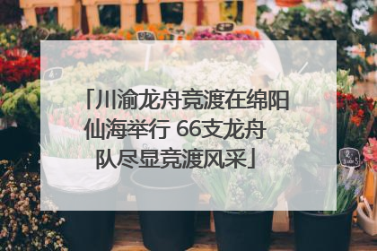 川渝龙舟竞渡在绵阳仙海举行 66支龙舟队尽显竞渡风采
