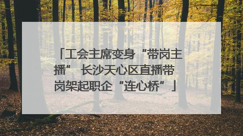 工会主席变身“带岗主播” 长沙天心区直播带岗架起职企“连心桥”