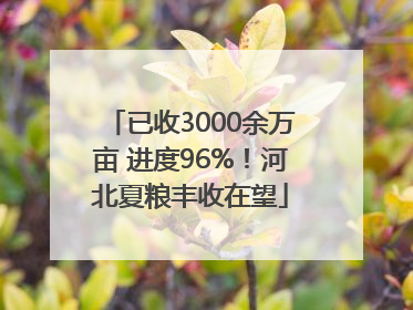 已收3000余万亩 进度96%！河北夏粮丰收在望