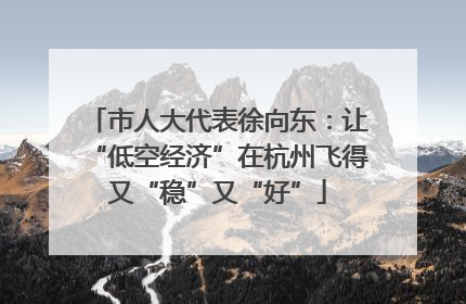 市人大代表徐向东：让“低空经济”在杭州飞得又“稳”又“好”