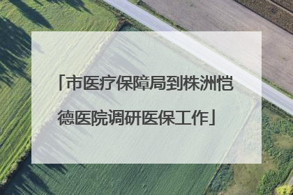 市医疗保障局到株洲恺德医院调研医保工作