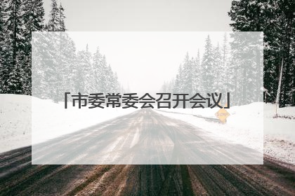 市委常委会召开会议