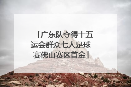 广东队夺得十五运会群众七人足球赛佛山赛区首金