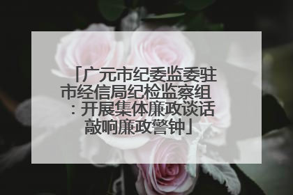 广元市纪委监委驻市经信局纪检监察组：开展集体廉政谈话 敲响廉政警钟