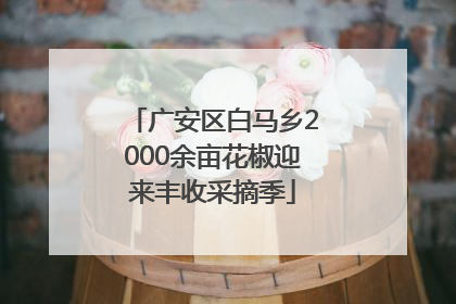 广安区白马乡2000余亩花椒迎来丰收采摘季