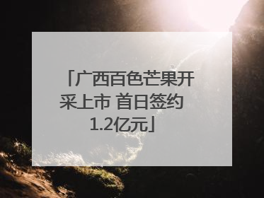 广西百色芒果开采上市 首日签约1.2亿元