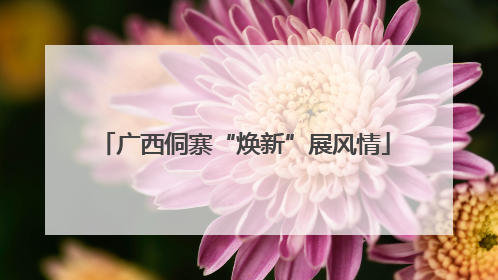 广西侗寨“焕新”展风情