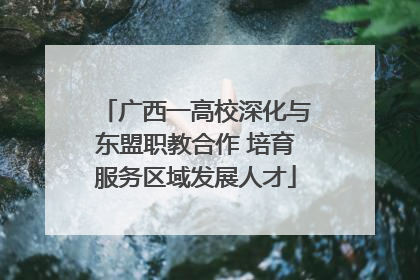 广西一高校深化与东盟职教合作 培育服务区域发展人才