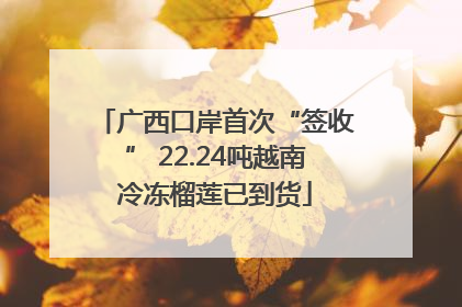 广西口岸首次“签收” 22.24吨越南冷冻榴莲已到货