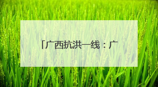 广西抗洪一线：广东支教民警退票留在广西抗洪救灾