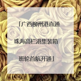 广西柳州港直通珠海高栏港集装箱班轮首航开通