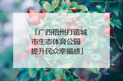 广西梧州打造城市生态体育公园 提升民众幸福感