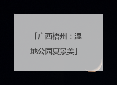 广西梧州：湿地公园夏景美