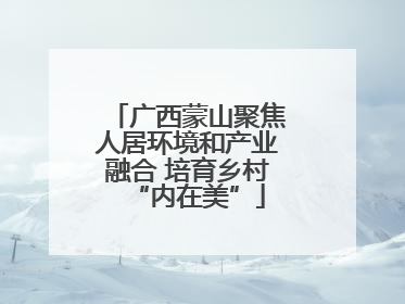 广西蒙山聚焦人居环境和产业融合 培育乡村“内在美”