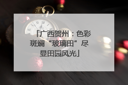 广西贺州：色彩斑斓“玻璃田”尽显田园风光