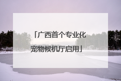 广西首个专业化宠物候机厅启用
