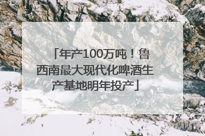 年产100万吨！鲁西南最大现代化啤酒生产基地明年投产