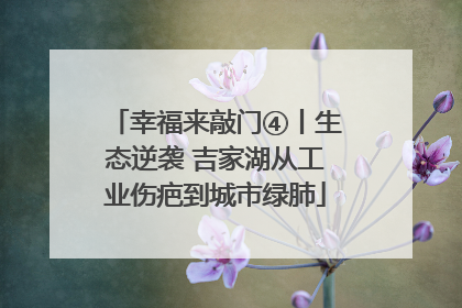 幸福来敲门④丨生态逆袭 吉家湖从工业伤疤到城市绿肺