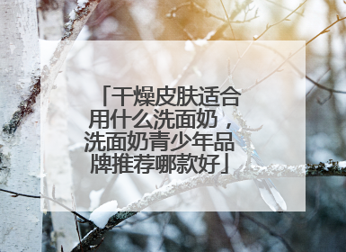 干燥皮肤适合用什么洗面奶，洗面奶青少年品牌推荐哪款好