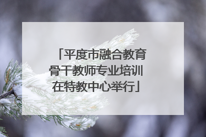 平度市融合教育骨干教师专业培训在特教中心举行